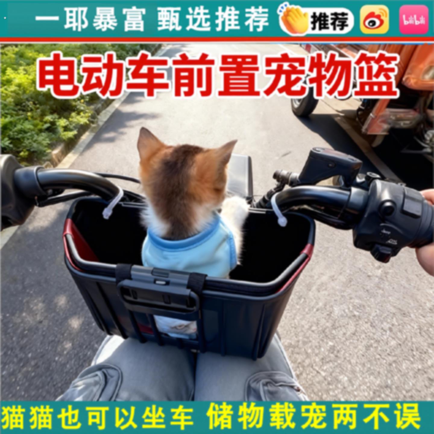电动车载狗神器前置款宠物筐带猫咪座椅踏板电动车篮子机车用筐