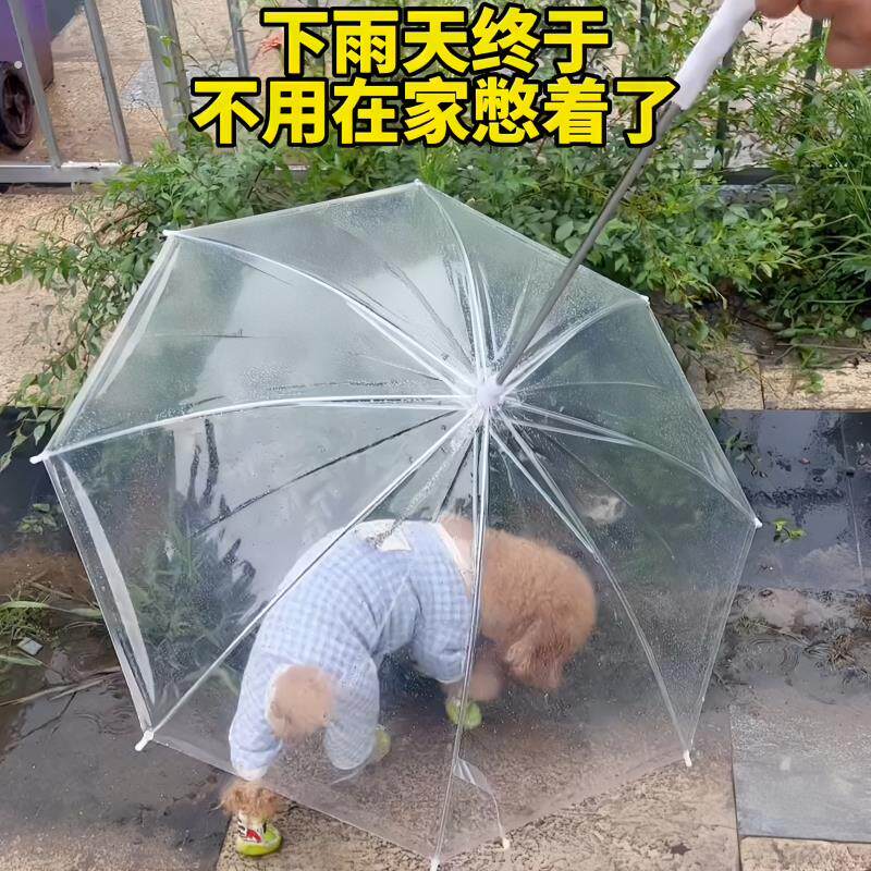 狗狗雨伞泰迪小狗炼 炼 宠物加大加固炼子猫透明雨伞透明狗用品遛