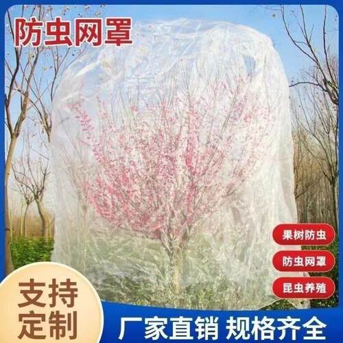 果果园防虫网纱网大树棚杨梅樱桃莲雾蓝莓蔬菜农用网罩网套