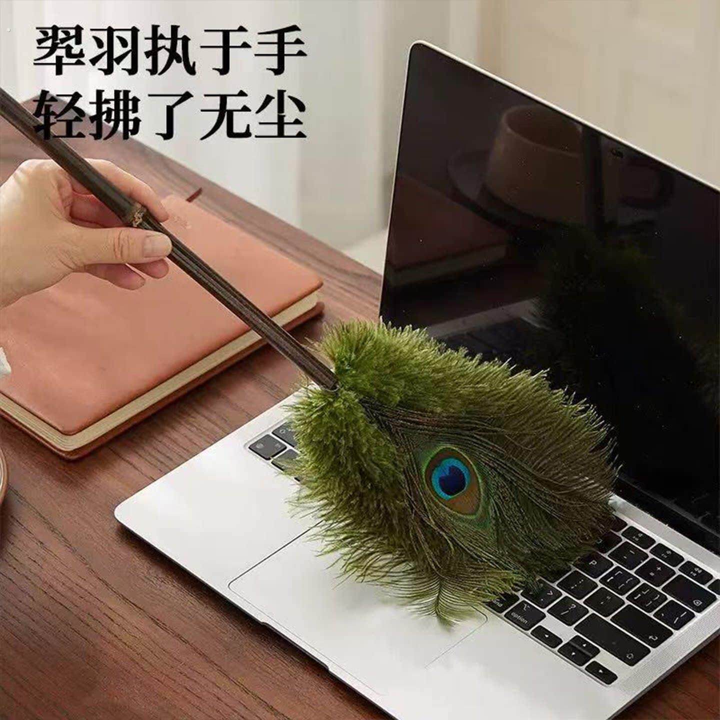 孔雀鸵羽掸家用除尘清洁摆件防静电不掉毛胡桃木手柄高档装饰品