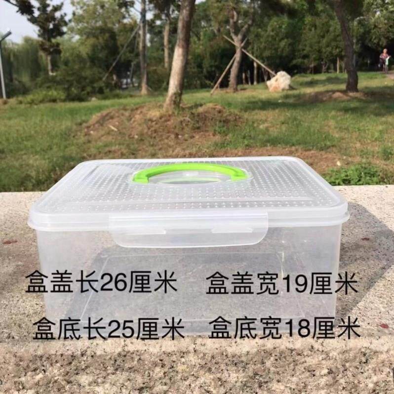 蚯蚓养殖箱养蚯蚓专用盒养蚯蚓专用箱蚯蚓堆肥箱蚯蚓养殖桶观察箱