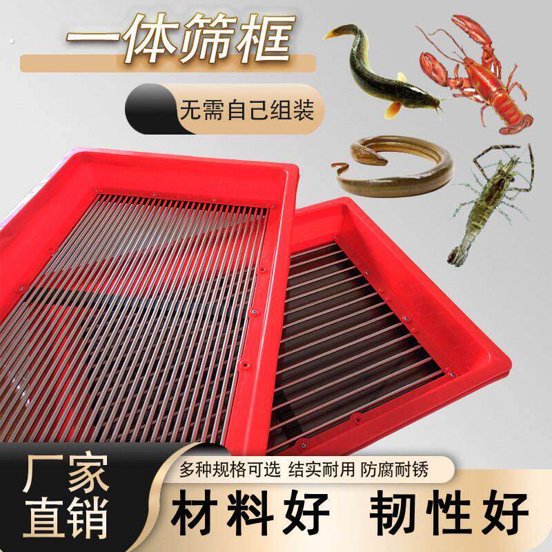 美筛王10.5厘米高度一体龙虾筛子加厚塑料龙虾河虾蓝莓泥鳅黄鳝虾