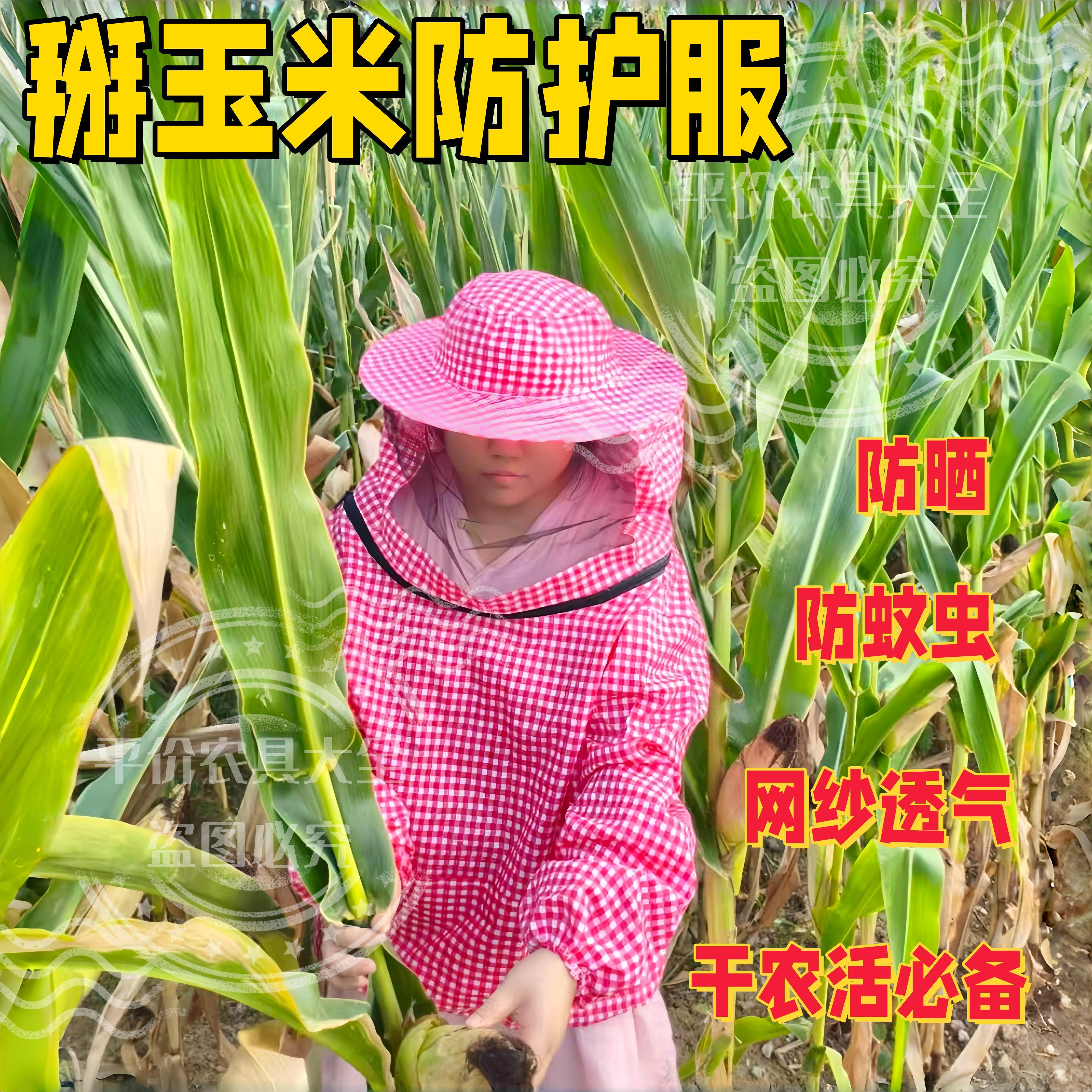 掰玉米防护服马蜂防护服农用防蚊虫套装衣服透气防尘下地防刮脸