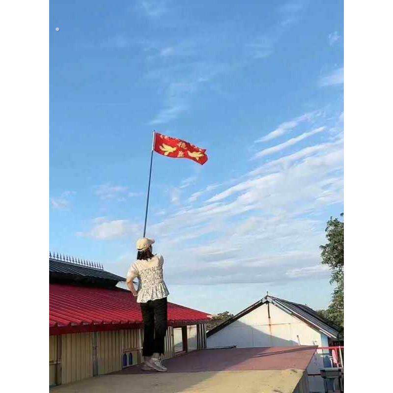 鸽子家飞神器玻璃钢旗杆不锈钢伸缩杆驱赶赛鸽信鸽训飞操练旗杆