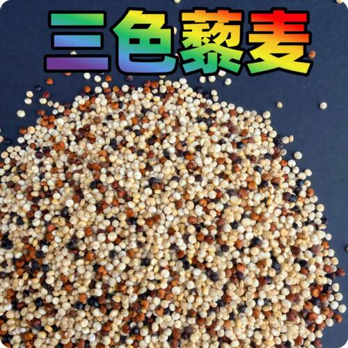 三色藜麦虎皮玄凤牡丹鸟食鸟粮斤真空装