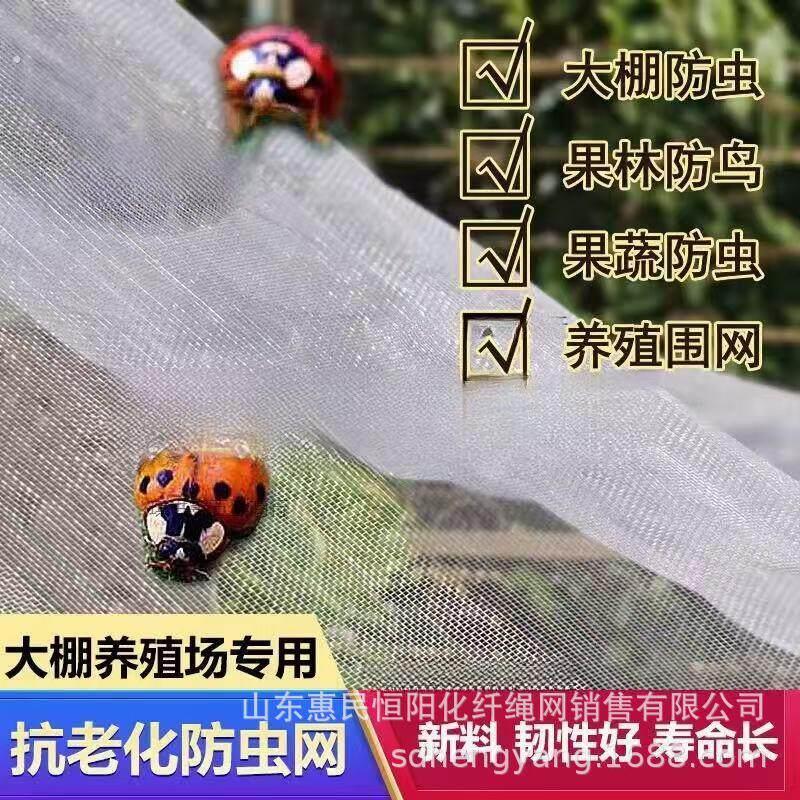 植物专用保护网蔬菜果树大棚果园农用40-100目防虫网纱网加密加厚