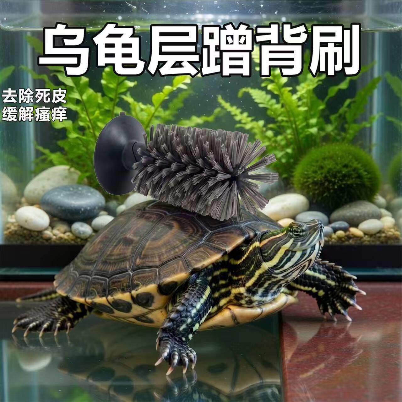 乌龟刷背甲水龟清洁刷吸盘式巴西龟甲壳小刷子宠物多功能通用刷子