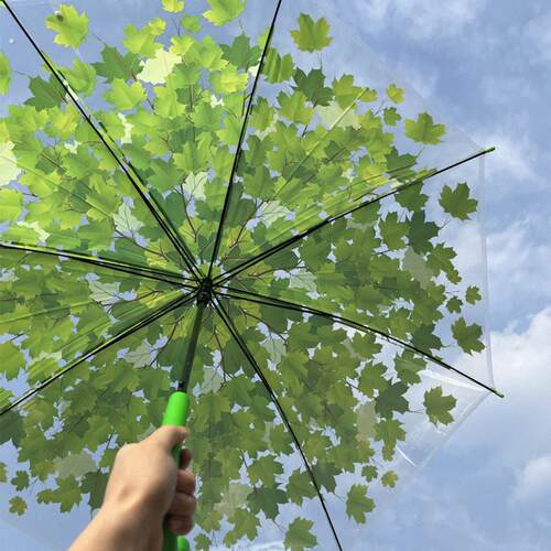 白色网红抗风结实直杆生高颜值晴雨两用大号自动透明雨伞长柄伞女