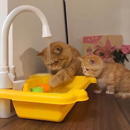 猫咪自动饮水机猫狗流动循环饮水器宠物喂水喝水器用水碗水盆可爱