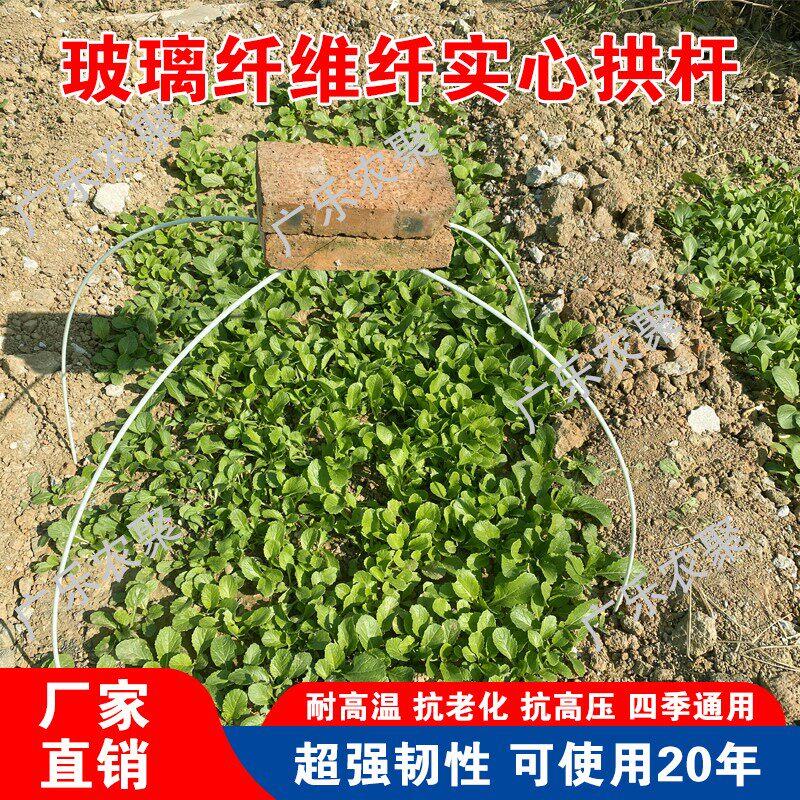 农用小拱棚支架玻璃纤维杆蔬菜温室养殖大棚骨架实心弹力棒黄瓜架