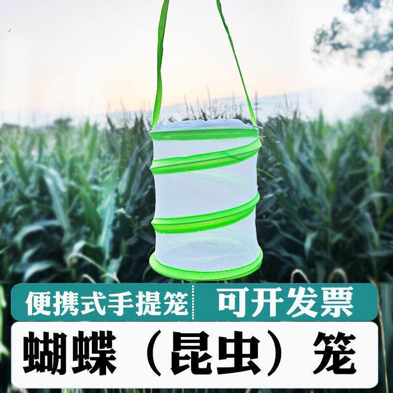 蝴蝶饲养昆虫笼可折叠蝴蝶笼子防虫纱网螳螂幼苗透光培育观察箱笼