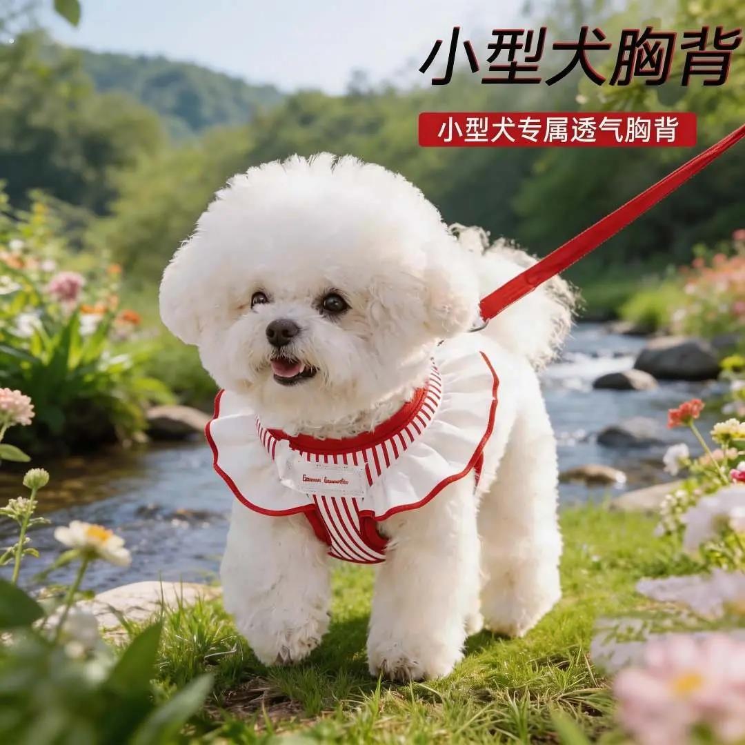 狗绳胸背牵引绳小狗小型犬遛狗绳抱婴袋式胸背牵引绳狗炼宠物牵引