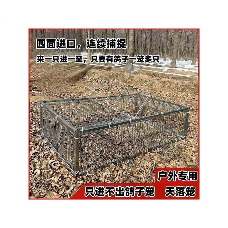 新款加密只进不出鸽子笼天落笼户外撞门笼全自动收鸽笼捕鸽子神器