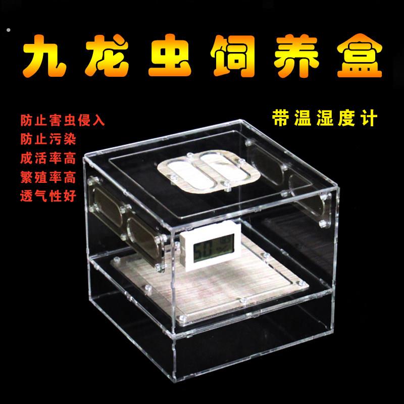 九龙虫养殖箱九龙虫养殖盒繁殖盒粪便分离饲养盒爬虫洋虫繁殖饲养