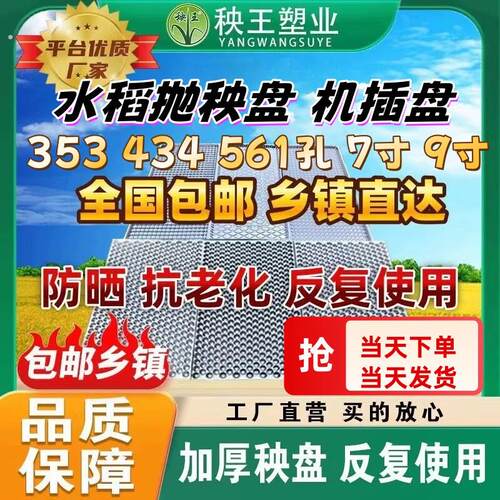 秧王整箱加厚抛秧盘353孔434孔561钵体盘手抛盘机插盘水稻育秧盘