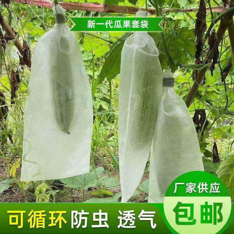 丝瓜防虫袋防鸟果袋苦瓜青瓜黄瓜保护套袋不织布套袋育果专用袋子
