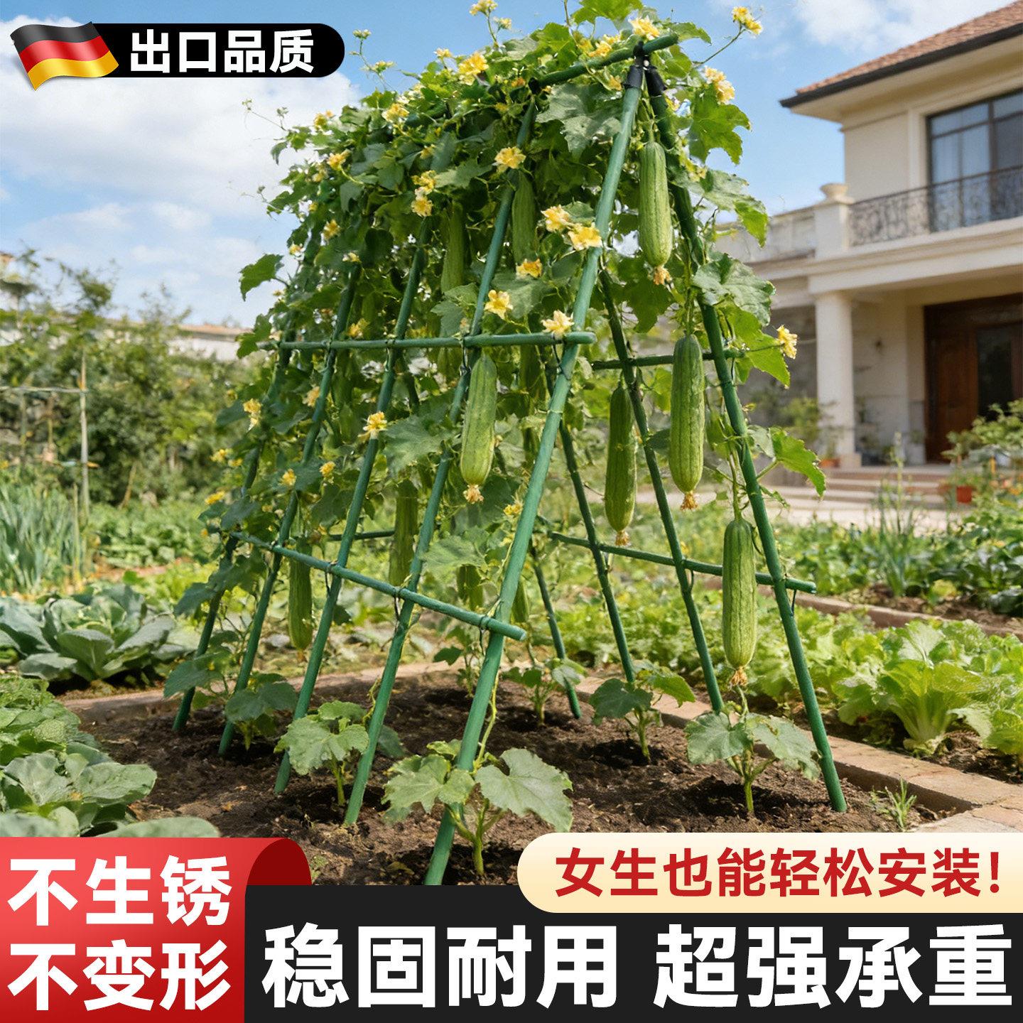 丝瓜架黄瓜爬藤架子番茄支撑架搭棚子支架西瓜豆角爬藤植物固定架图片