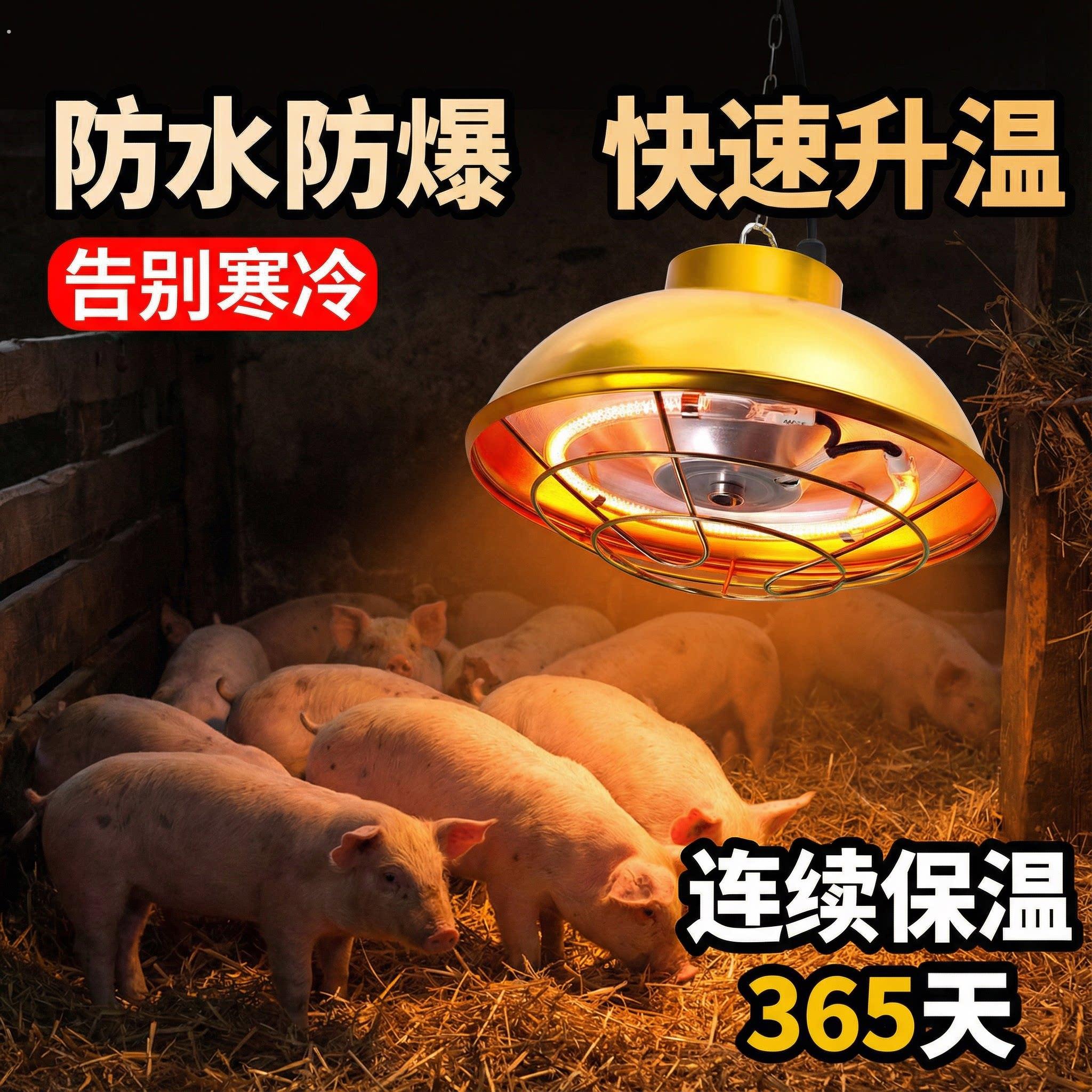 保温灯养殖场专用兽用取暖灯罩可调温猪用小鸡育雏仔猪卤素加热灯