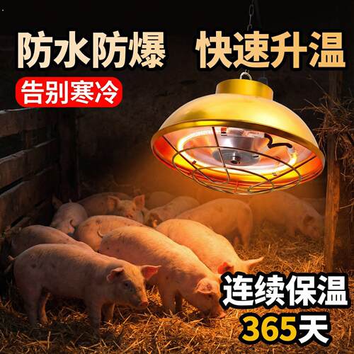 保温灯养殖场专用兽用取暖灯罩可调温猪用小鸡育雏仔猪卤素加热灯