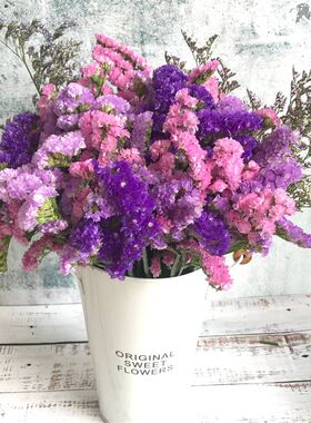 云南勿忘我干花花束干鲜花论斤卖大束长款满天星装饰家居摆设插花