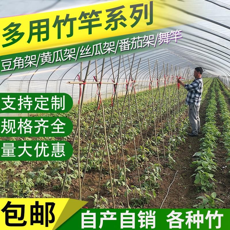 竹竿菜园搭架新品包邮篱笆围栏细竹子支架2米旗杆豆角黄瓜爬藤架
