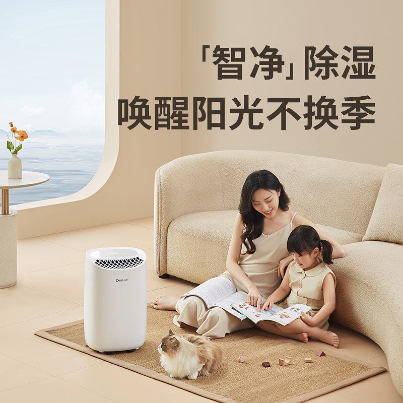 德业除湿机家用抽湿器干衣净化智能静音干燥室内回南天吸湿B12A3