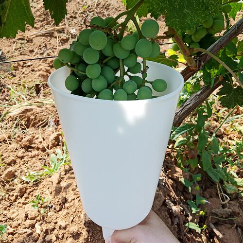 葡萄浸果杯葡萄膨果拉穗器膨大剂沾药杯子葡萄蘸药神器葡萄喷药器
