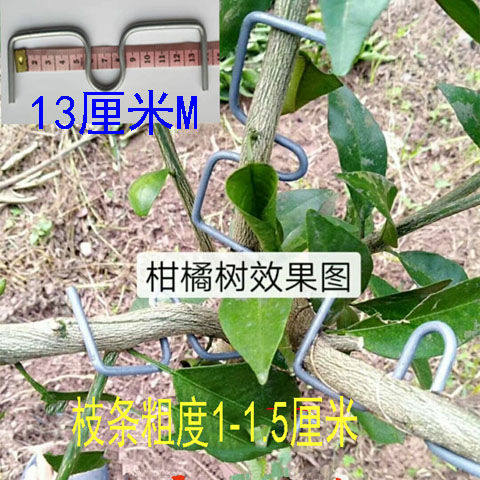 别枝器压枝定型开角拉枝拨园农用园艺工具包邮果树柑橘石榴定型