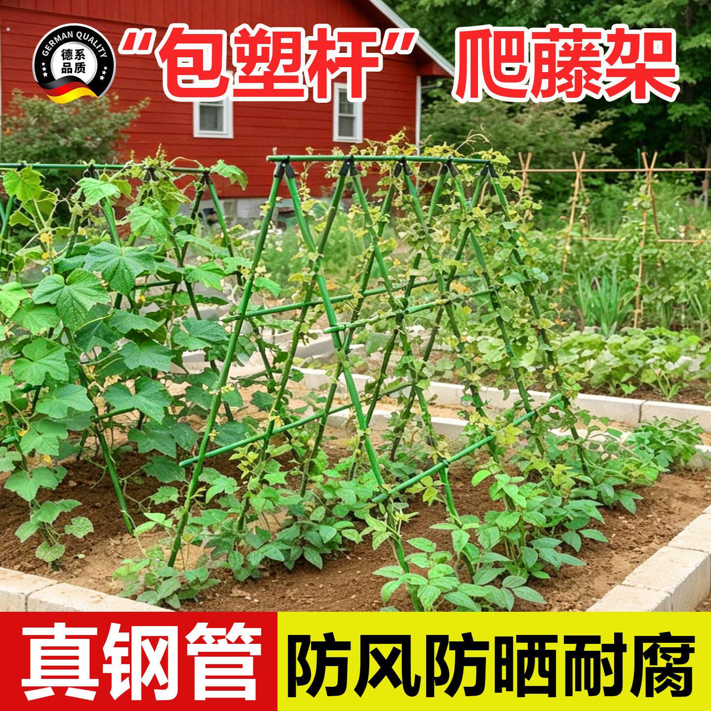 黄瓜爬藤架四季豆角架杆蔬菜棚番茄架种菜农用拱棚搭架子种植