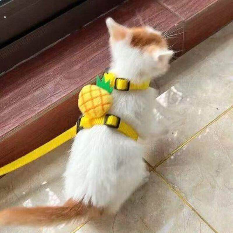 侏儒兔牵引绳超小型防挣脱龙猫溜兔子专用衣服可调节外出遛荷兰猪