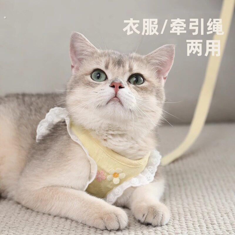 猫咪牵引绳防挣脱外出专用猫猫溜猫不勒脖小猫幼猫胸抱婴袋遛猫绳