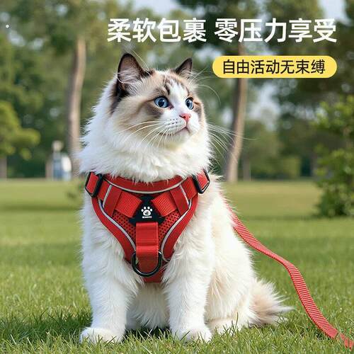 猫咪牵引绳防挣脱外出专用背心式溜猫绳子胸抱婴袋可调节宠物遛猫