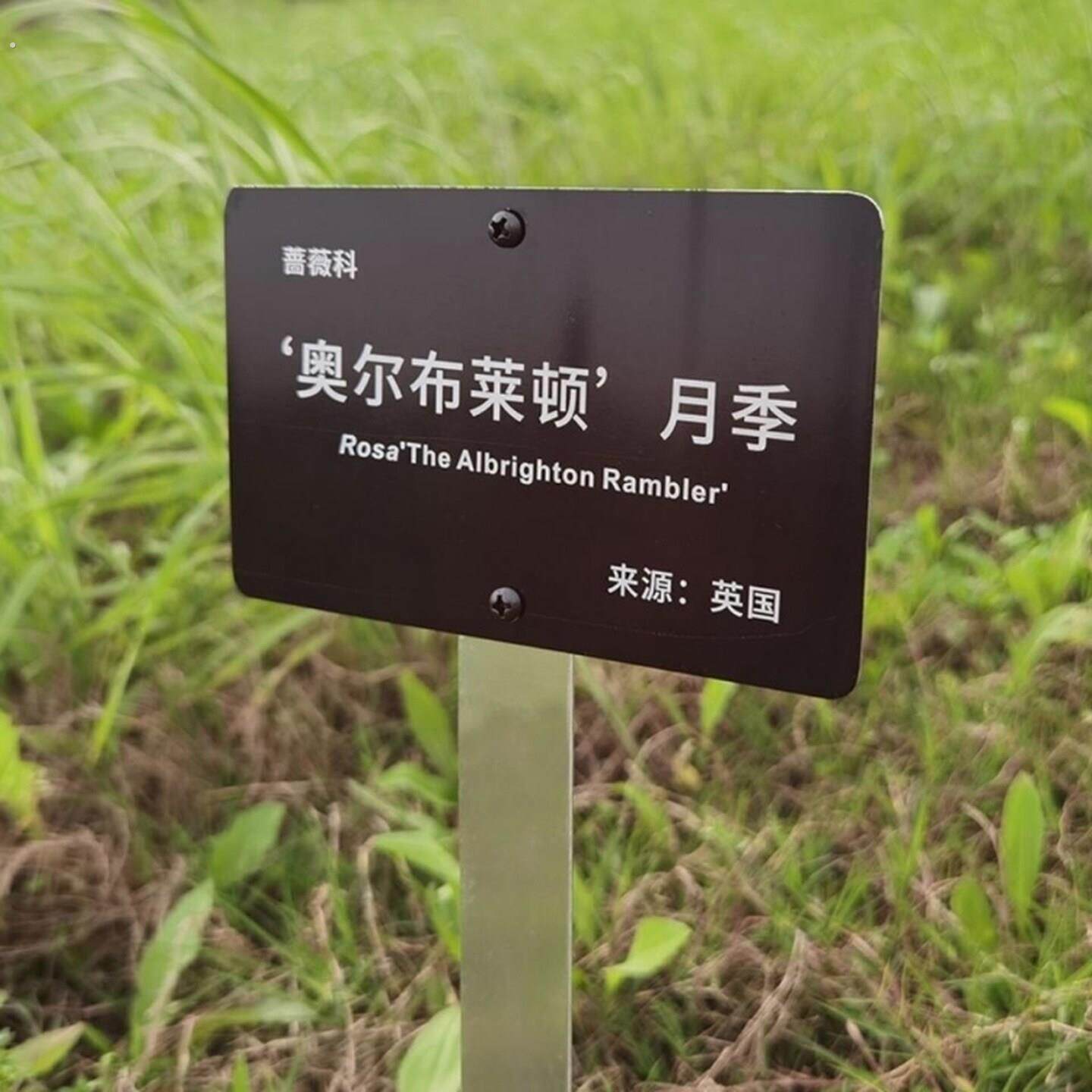 不锈钢树牌植物科普牌定制公园树木标识牌园林绿化插地景观广告牌