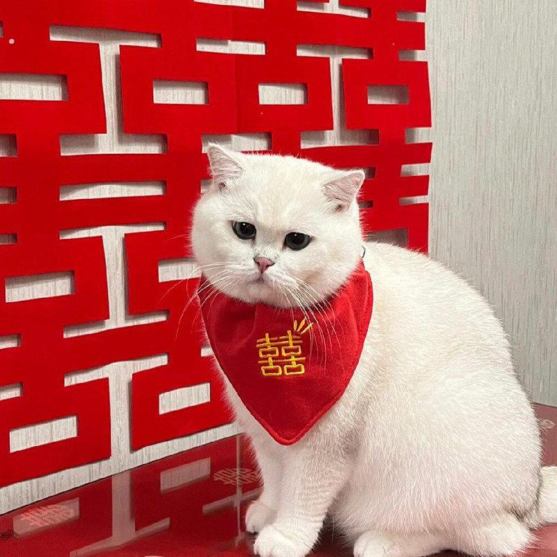 猫咪结婚喜字口水巾婚礼红色狗狗围脖项圈宠物喜字刺绣三角巾围兜