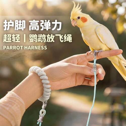 鹦鹉放飞绳不伤脚超轻牵引绳虎皮玄凤牡丹小太阳脚环脚炼遛鸟绳芰