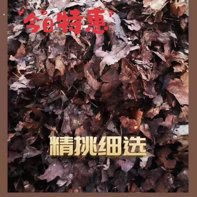 橡树叶中大叶发酵无土九分干兰科种菜养根透气种植土腐熟发酵腐叶