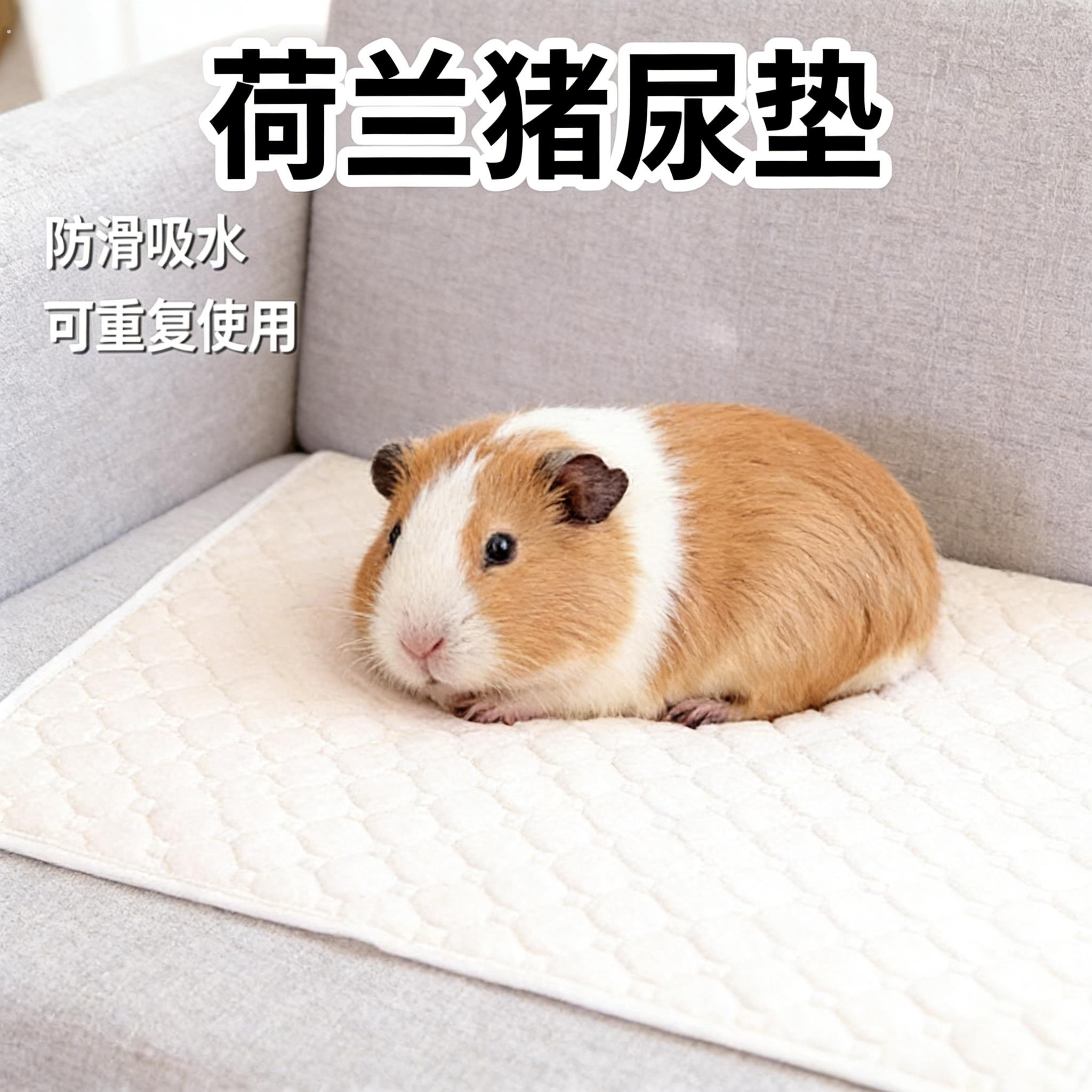 荷兰猪专用可水洗加厚尿垫豚鼠诱导定点吸水大号厕所清洁宠物用品