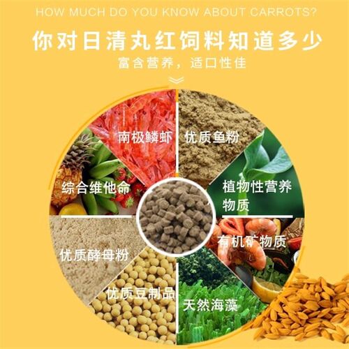 日清丸红兰寿泰狮干燥饲料EP1EP2高蛋白缓沉下沉颗粒增色增体鱼食