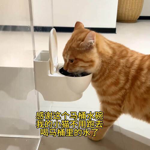 马桶水碗防打翻猫咪喝水碗小猫饮水器宠物骗水神器悬挂式护颈猫碗