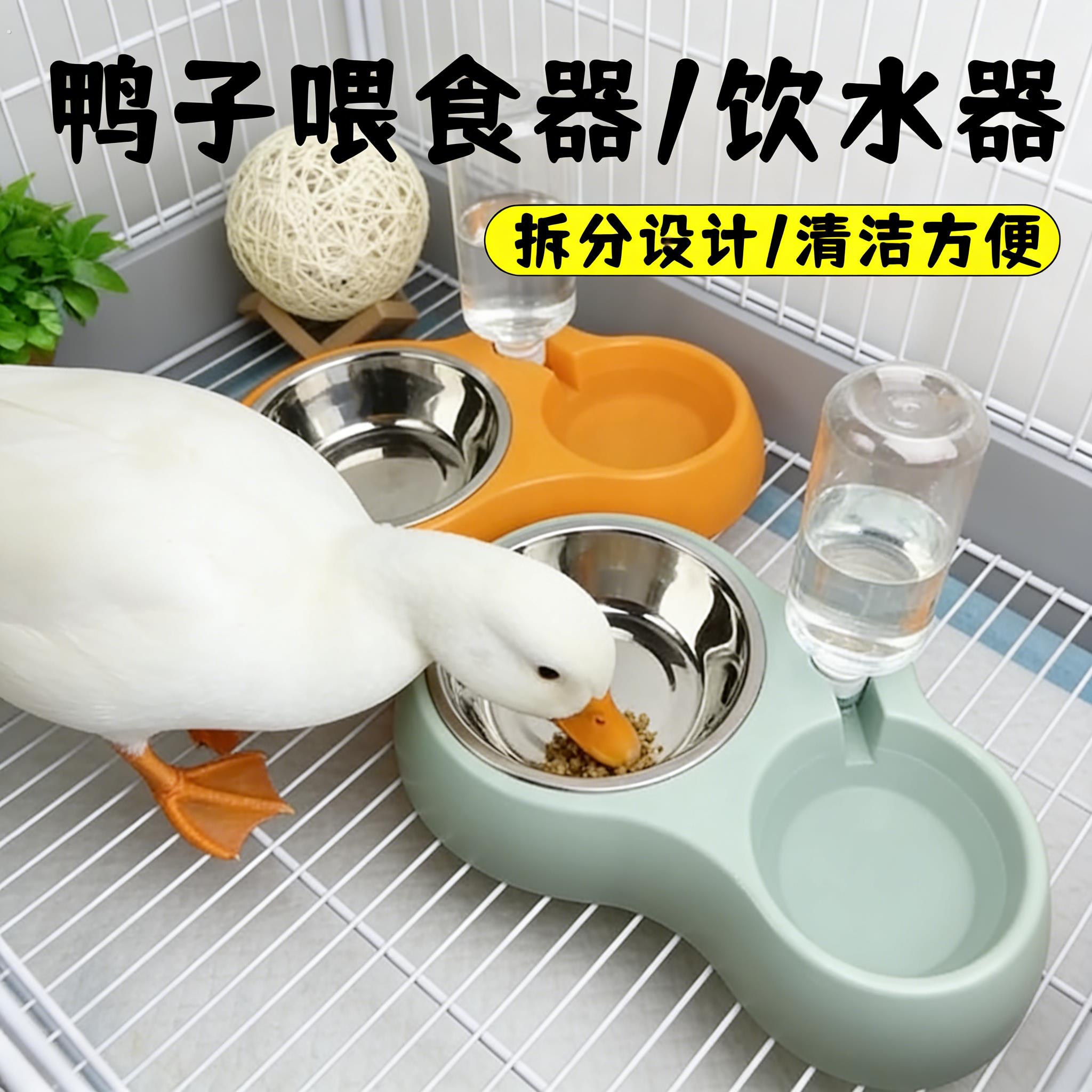 鸭子饮水器喂食器专用自动柯尔鸭喝水食槽自动喂食器水槽清洗方便