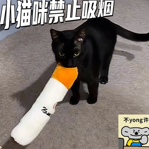 【宠物禁止吸烟】香烟发声玩具