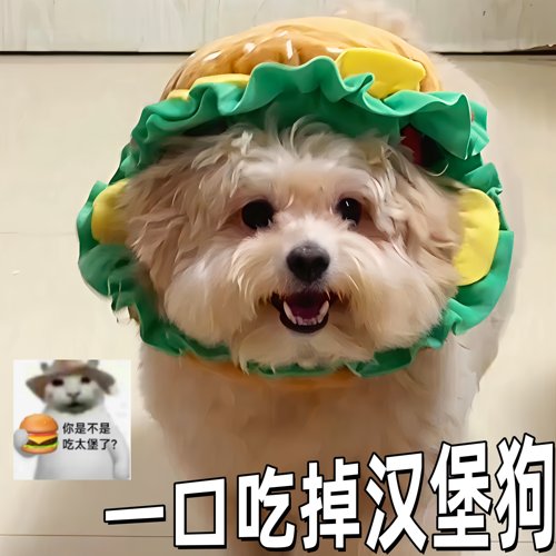 【汉堡狗不是菜狗吧】宠物汉堡帽