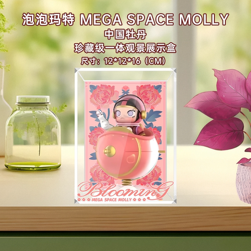 MOLLY绽放100%亚克力展示盒