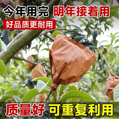 枇杷专用套袋水果套袋防虫防鸟果袋神器葡萄梨子纸袋水果保护套袋