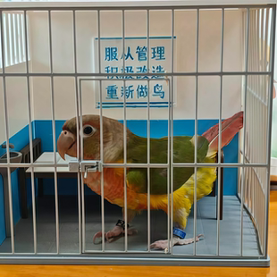 【铁窗泪】纯狱风谷美监狱摆件手办桌面搞笑小模型收纳展示盒场景