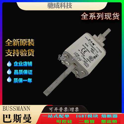 巴斯曼170M3208 170M3209 170M3210 现货供应优价供应 快熔保险丝
