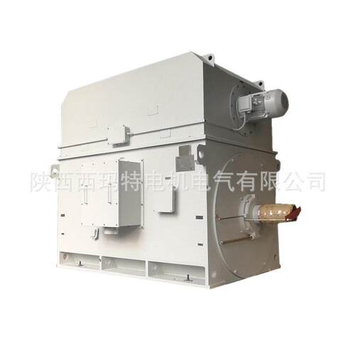 西安-泰富西玛电机YJT80016极800YJT800-110V压变W三相异步电动频
