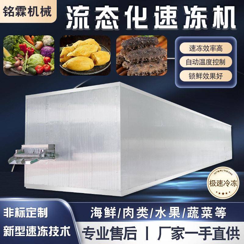 玉米葡萄果蔬极速流态化速冻机商用黑芝麻汤圆面筋冷冻设备