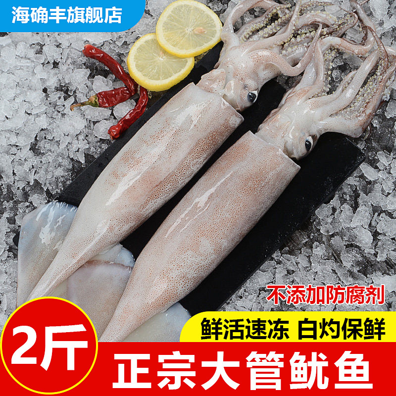 新货冰鲜活冷冻大鱿鱼阳江阳江港海捕鱿鱼海鲜水产速冻包邮