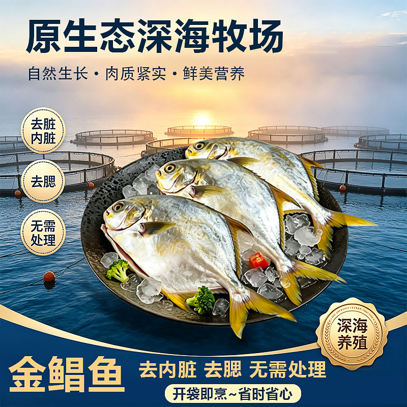新货金鲳鱼新鲜原生态深海金鲳鱼二去去内脏去腮无需处理新鲜海鲜